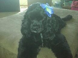 Sadie Mae (2)