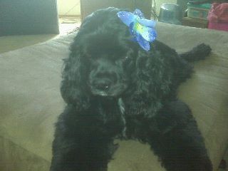 Sadie Mae (2)