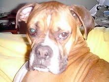 Tucker 2