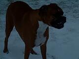 Tucker 8