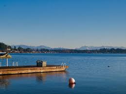 Lake Stevens pet cremation