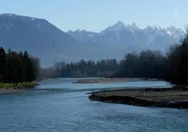 snohomish county pet cremation