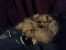 Thelma 2