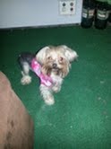Thelma 4