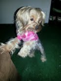 Thelma 5