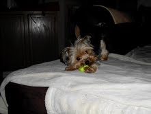 Thelma 10