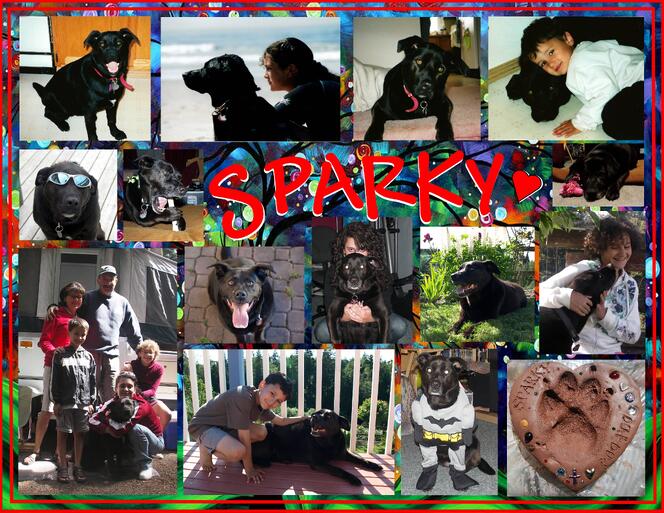 sparky1  (2)