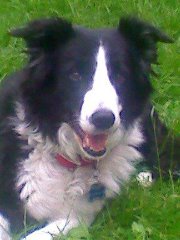 ozzborn (2)