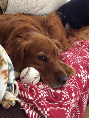 Murphy_2014