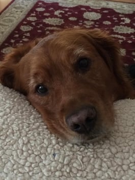 Murphy_July_2014