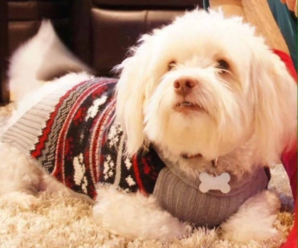 Pic of Walle